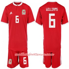 Maillot/Tenue Pays de Galles WILLIAMS 6 Enfant Domicile 2018/2019